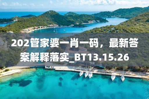 202管家婆一肖一码，最新答案解释落实_BT13.15.26