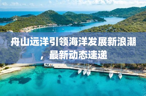 舟山远洋引领海洋发展新浪潮，最新动态速递