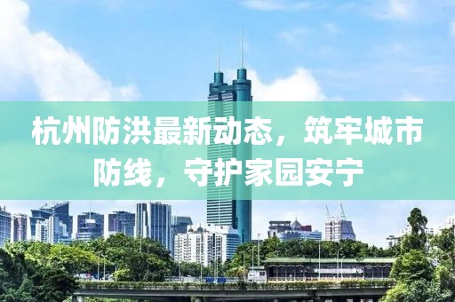 杭州防洪最新动态，筑牢城市防线，守护家园安宁