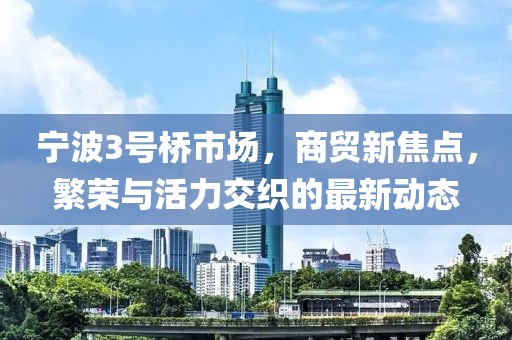 宁波3号桥市场，商贸新焦点，繁荣与活力交织的最新动态