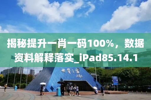 揭秘提升一肖一码100%，数据资料解释落实_iPad85.14.1