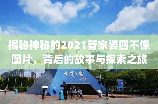 揭秘神秘的2021管家婆四不像图片，背后的故事与探索之旅