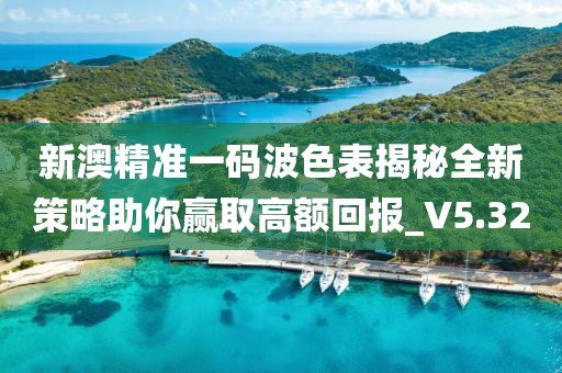 新澳精准一码波色表揭秘全新策略助你赢取高额回报_V5.32