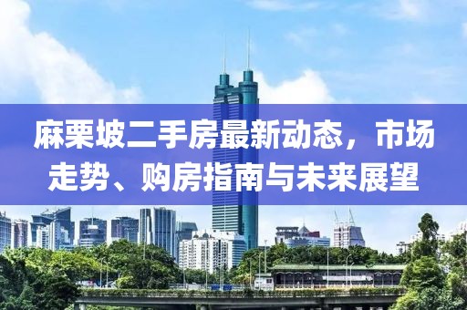 麻栗坡二手房最新动态，市场走势、购房指南与未来展望