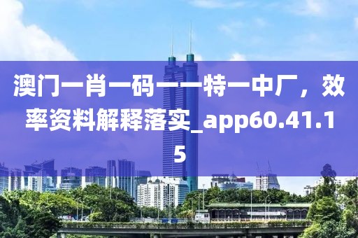 澳门一肖一码一一特一中厂，效率资料解释落实_app60.41.15