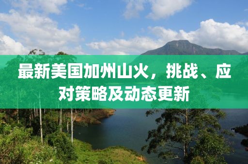 最新美国加州山火，挑战、应对策略及动态更新