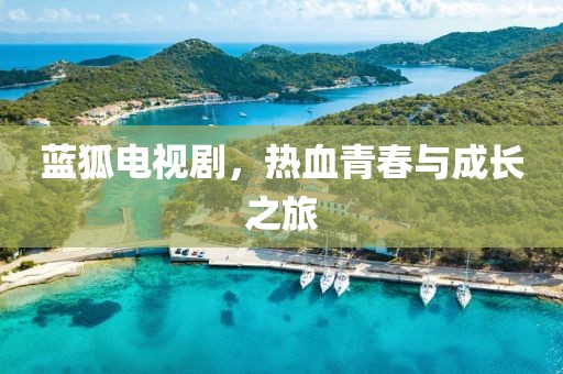 蓝狐电视剧，热血青春与成长之旅