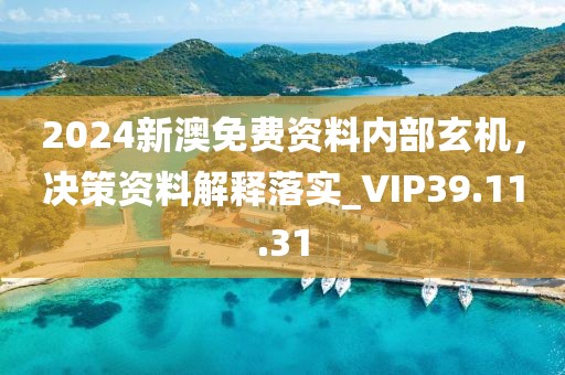 2024新澳免费资料内部玄机，决策资料解释落实_VIP39.11.31