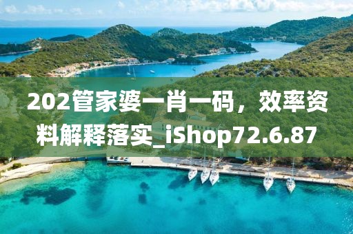 202管家婆一肖一码，效率资料解释落实_iShop72.6.87