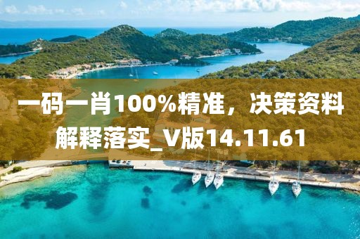 一码一肖100%精准，决策资料解释落实_V版14.11.61