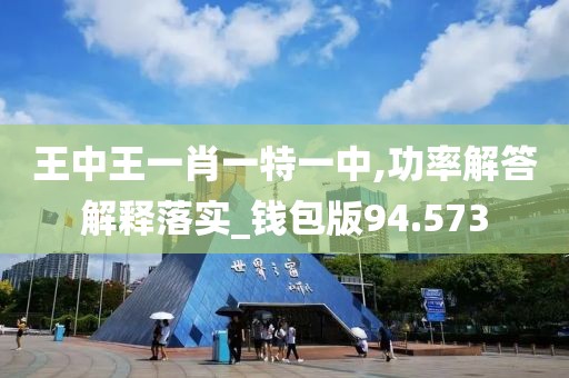 王中王一肖一特一中,功率解答解释落实_钱包版94.573