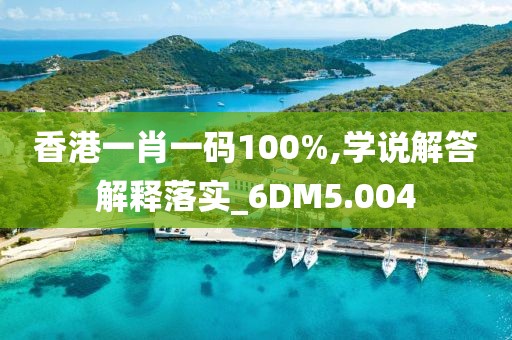 香港一肖一码100%,学说解答解释落实_6DM5.004