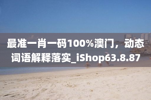 最准一肖一码100%澳门，动态词语解释落实_iShop63.8.87