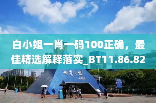 白小姐一肖一码100正确，最佳精选解释落实_BT11.86.82