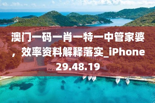 澳门一码一肖一特一中管家婆，效率资料解释落实_iPhone29.48.19