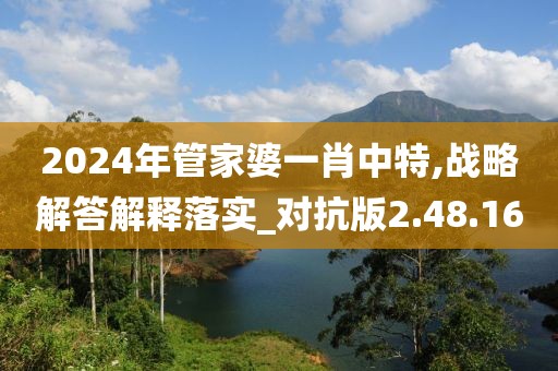 2024年管家婆一肖中特,战略解答解释落实_对抗版2.48.16