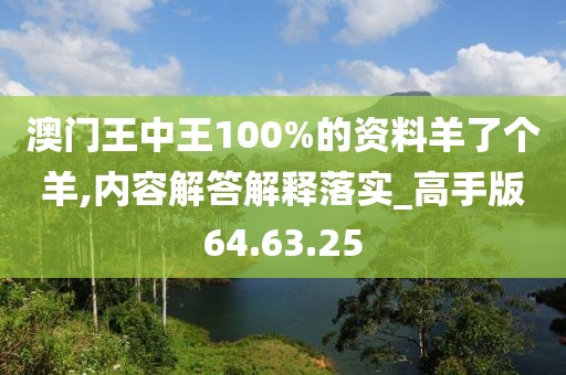 澳门王中王100%的资料羊了个羊,内容解答解释落实_高手版64.63.25