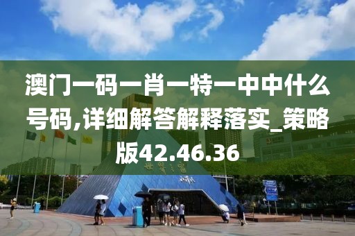 澳门一码一肖一特一中中什么号码,详细解答解释落实_策略版42.46.36