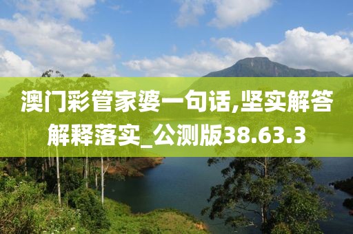 澳门彩管家婆一句话,坚实解答解释落实_公测版38.63.3