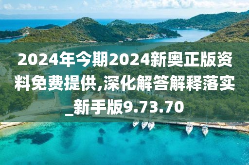 2024年今期2024新奥正版资料免费提供,深化解答解释落实_新手版9.73.70