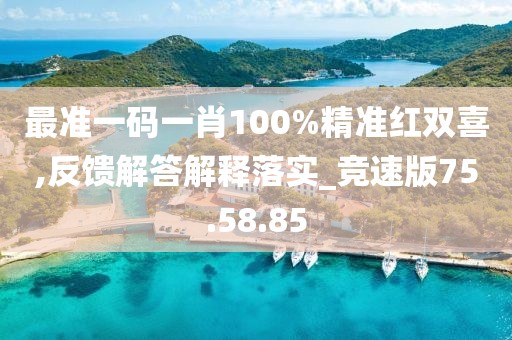 最准一码一肖100%精准红双喜,反馈解答解释落实_竞速版75.58.85