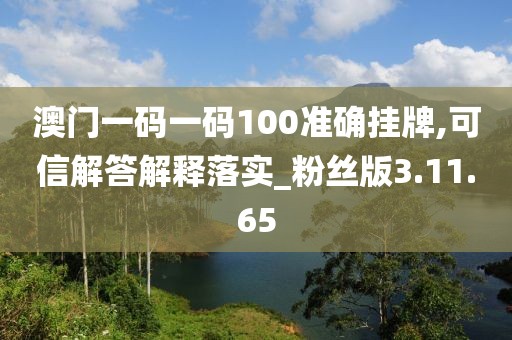 澳门一码一码100准确挂牌,可信解答解释落实_粉丝版3.11.65