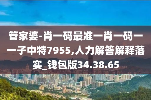 管家婆-肖一码最准一肖一码一一子中特7955,人力解答解释落实_钱包版34.38.65