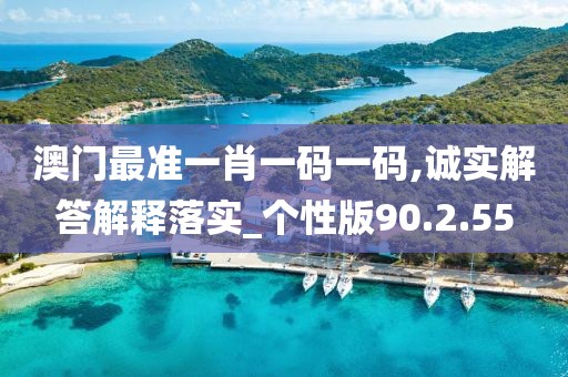 澳门最准一肖一码一码,诚实解答解释落实_个性版90.2.55