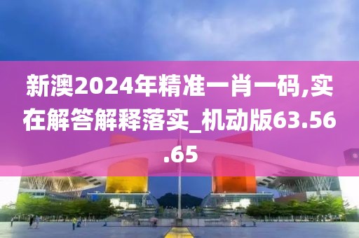 新澳2024年精准一肖一码,实在解答解释落实_机动版63.56.65