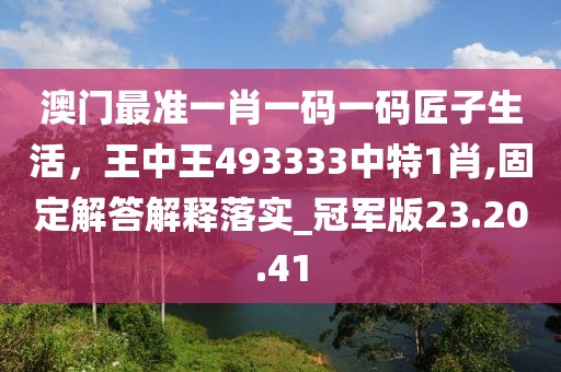 澳门最准一肖一码一码匠子生活，王中王493333中特1肖,固定解答解释落实_冠军版23.20.41