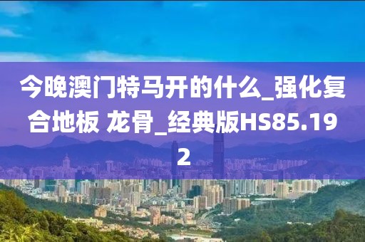 今晚澳门特马开的什么_强化复合地板 龙骨_经典版HS85.192