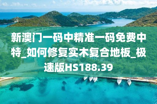 新澳门一码中精准一码免费中特_如何修复实木复合地板_极速版HS188.39