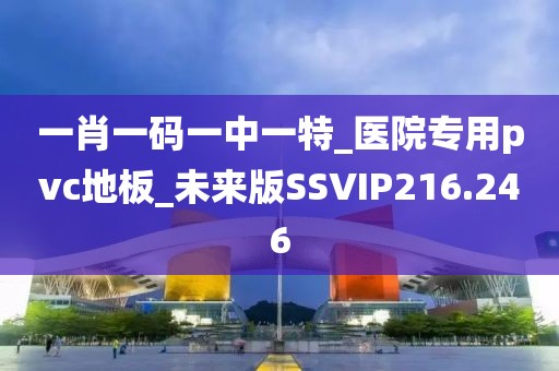 一肖一码一中一特_医院专用pvc地板_未来版SSVIP216.246