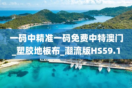 一码中精准一码免费中特澳门_塑胶地板布_潮流版HS59.1