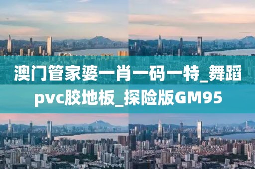 澳门管家婆一肖一码一特_舞蹈pvc胶地板_探险版GM95