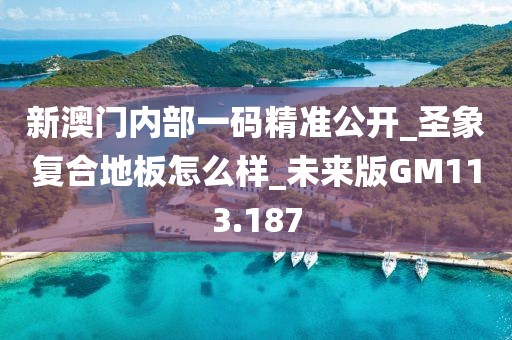 新澳门内部一码精准公开_圣象复合地板怎么样_未来版GM113.187