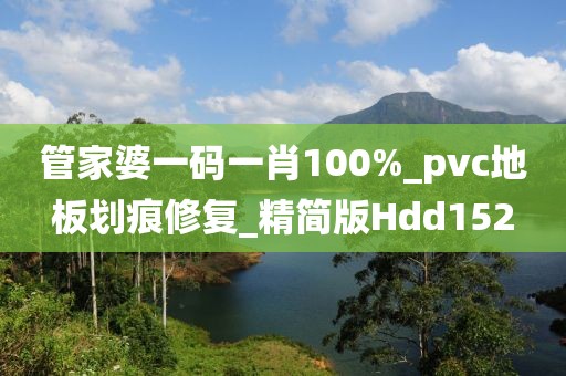 管家婆一码一肖100%_pvc地板划痕修复_精简版Hdd152