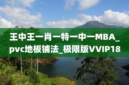 王中王一肖一特一中一MBA_pvc地板铺法_极限版VVIP180