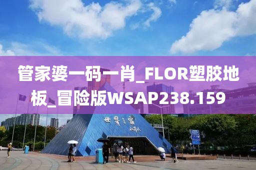 管家婆一码一肖_FLOR塑胶地板_冒险版WSAP238.159