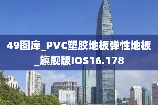 49图库_PVC塑胶地板弹性地板_旗舰版IOS16.178