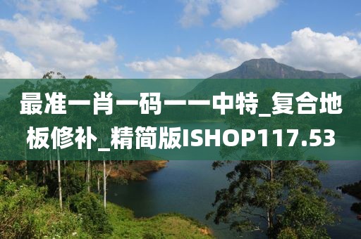 最准一肖一码一一中特_复合地板修补_精简版ISHOP117.53