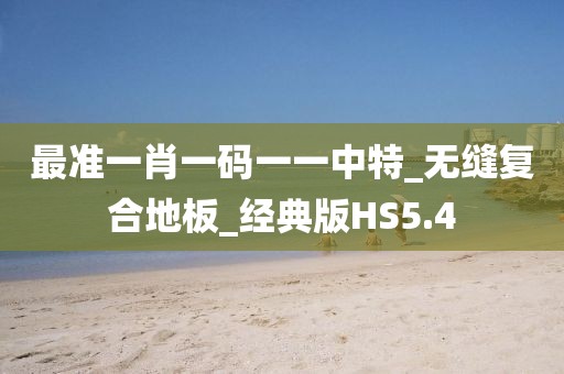 最准一肖一码一一中特_无缝复合地板_经典版HS5.4