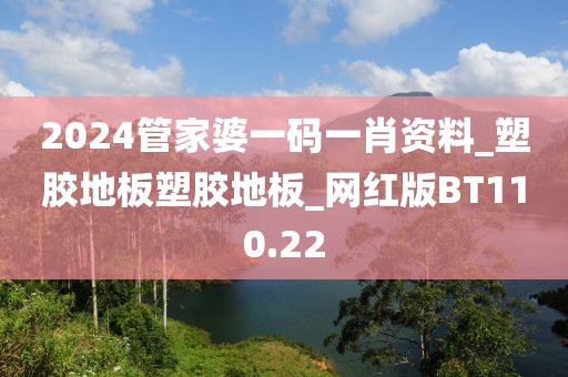 2024管家婆一码一肖资料_塑胶地板塑胶地板_网红版BT110.22