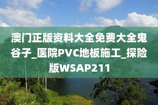 澳门正版资料大全免费大全鬼谷子_医院PVC地板施工_探险版WSAP211