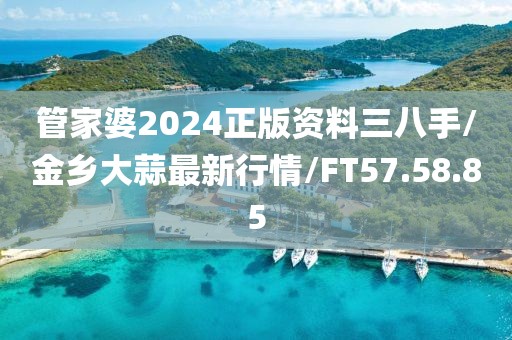 管家婆2024正版资料三八手/金乡大蒜最新行情/FT57.58.85