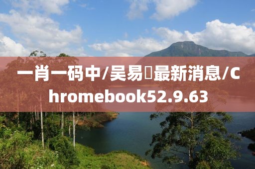 一肖一码中/吴易昺最新消息/Chromebook52.9.63