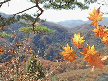 朝鲜发现韩国再次放飞垃圾气球，微妙关系下的环保新观察