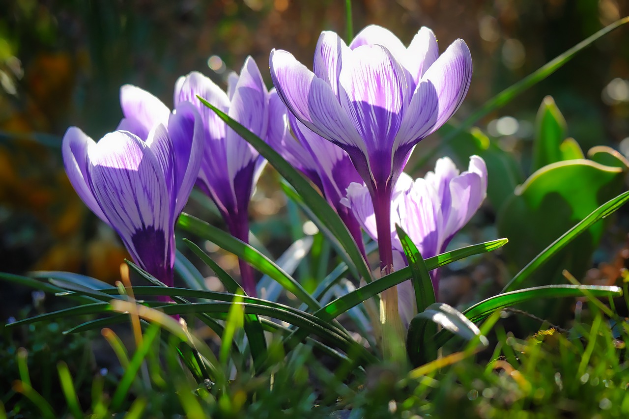 教师节，致敬教育之光，点亮未来之路的璀璨导师们