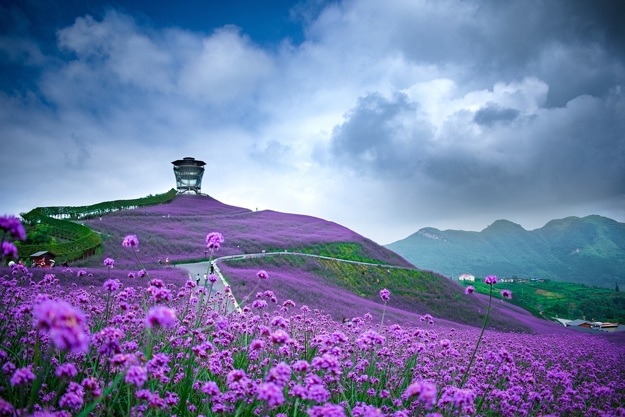 武清北运河改造重塑生态景观，助力区域发展提速