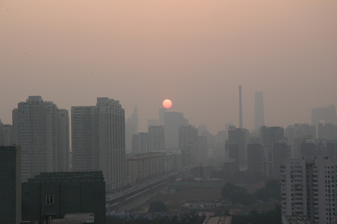 江西进贤最新楼盘房价概览及市场趋势分析